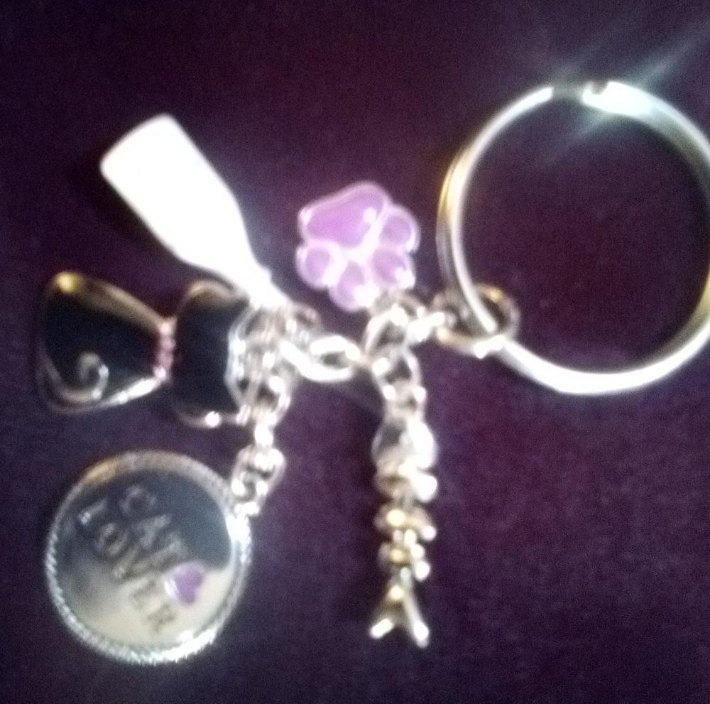 Cat Lovers Key Ring
